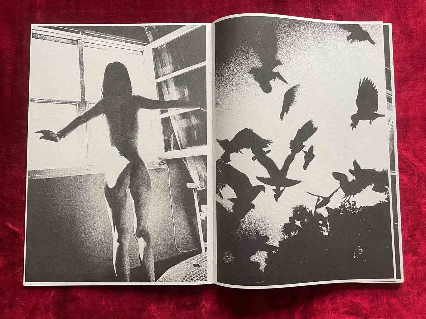 CASCATA_04_BOOK_KURAMA