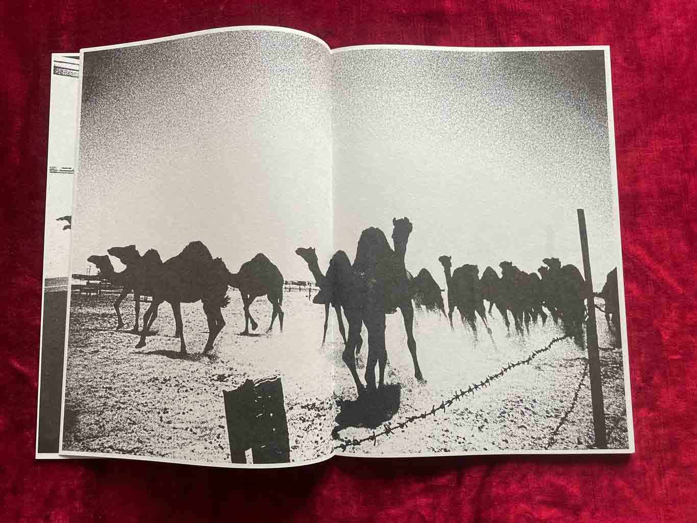 CASCATA_05_BOOK_KURAMA