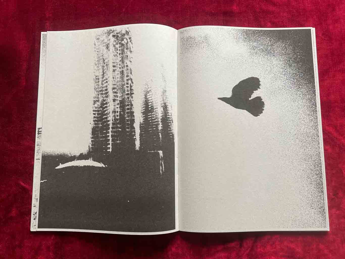 CASCATA_07_BOOK_KURAMA