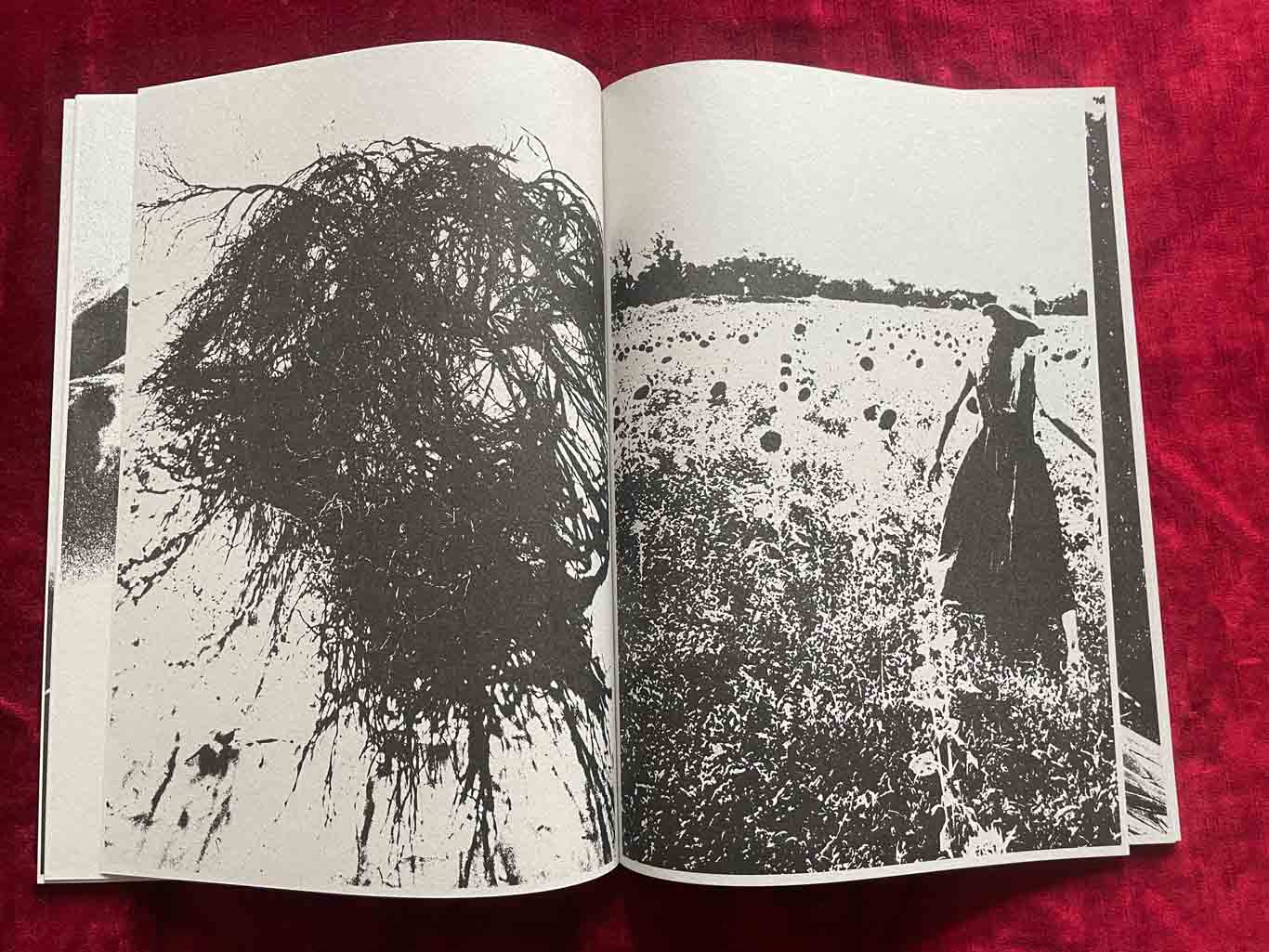 CASCATA_10_BOOK_KURAMA