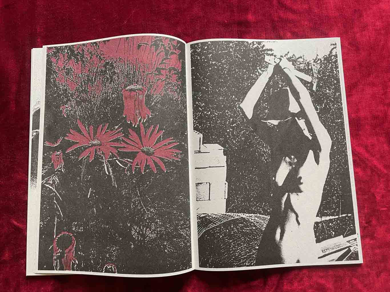 CASCATA_11_BOOK_KURAMA