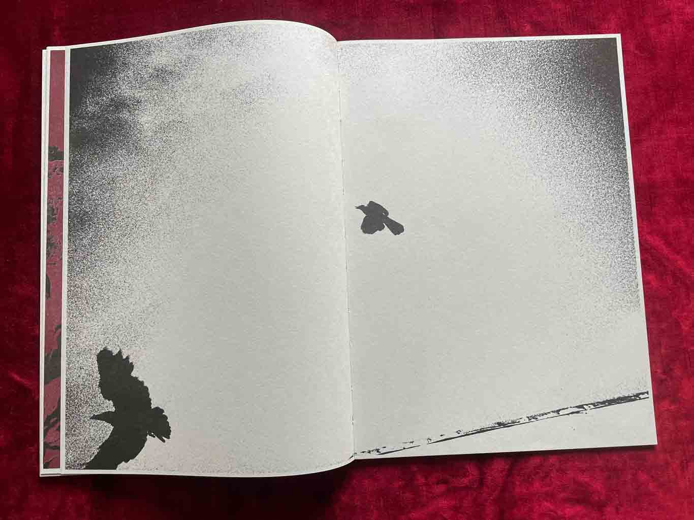 CASCATA_12_BOOK_KURAMA