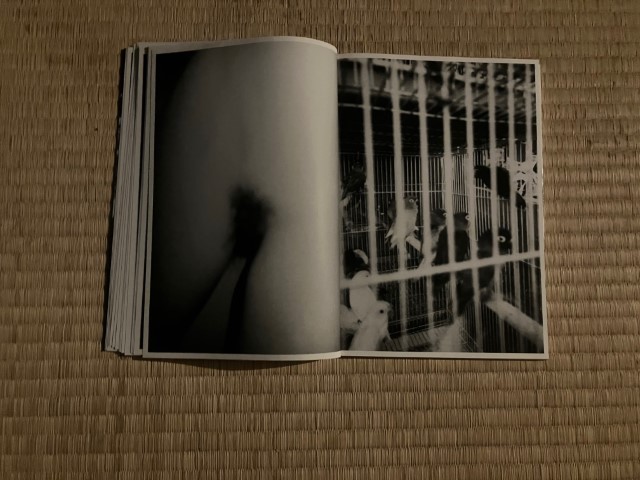 KAMESAN_BOOK_KURAMA-017