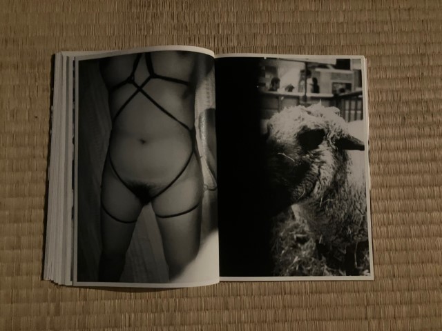 KAMESAN_BOOK_KURAMA-021