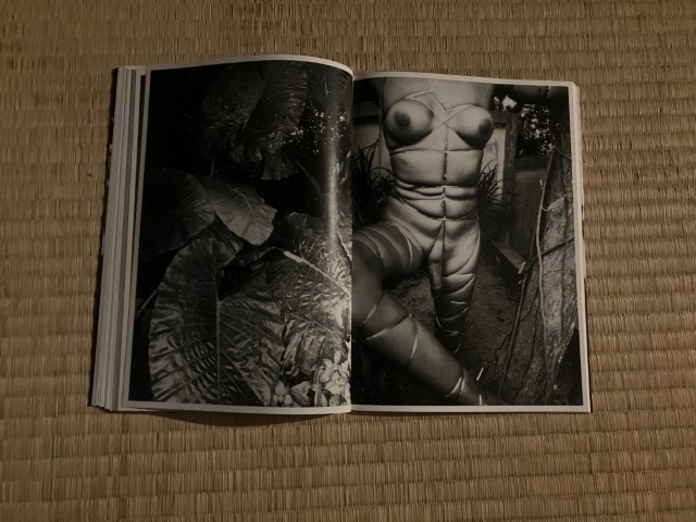 KAMESAN_BOOK_KURAMA-023