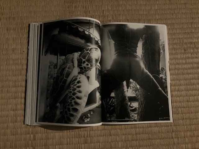 KAMESAN_BOOK_KURAMA-024