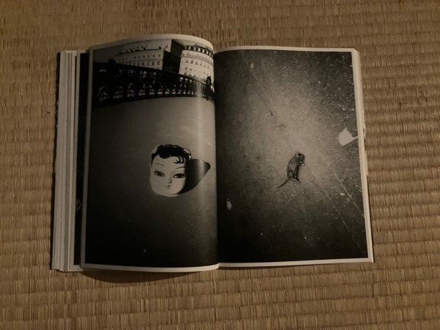 KAMESAN_BOOK_KURAMA-025