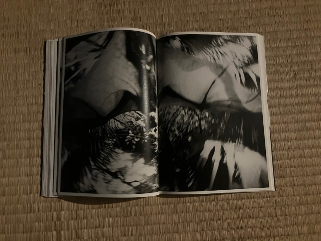 KAMESAN_BOOK_KURAMA-029