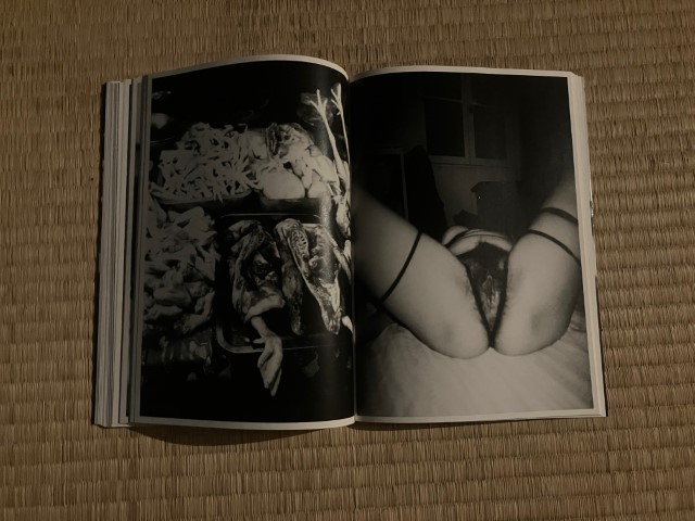 KAMESAN_BOOK_KURAMA-030