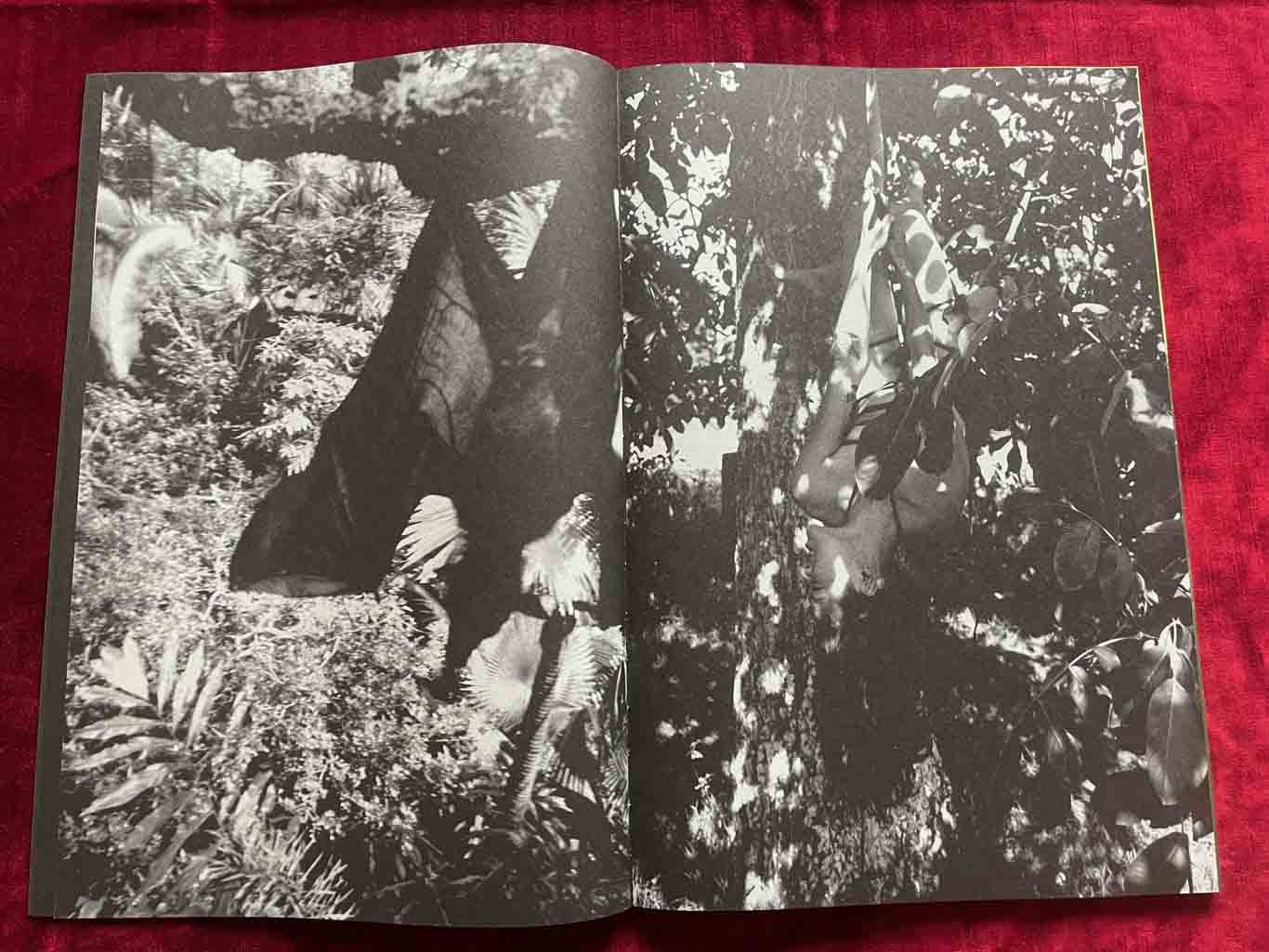 KOUMORI_06_BOOK_KURAMA