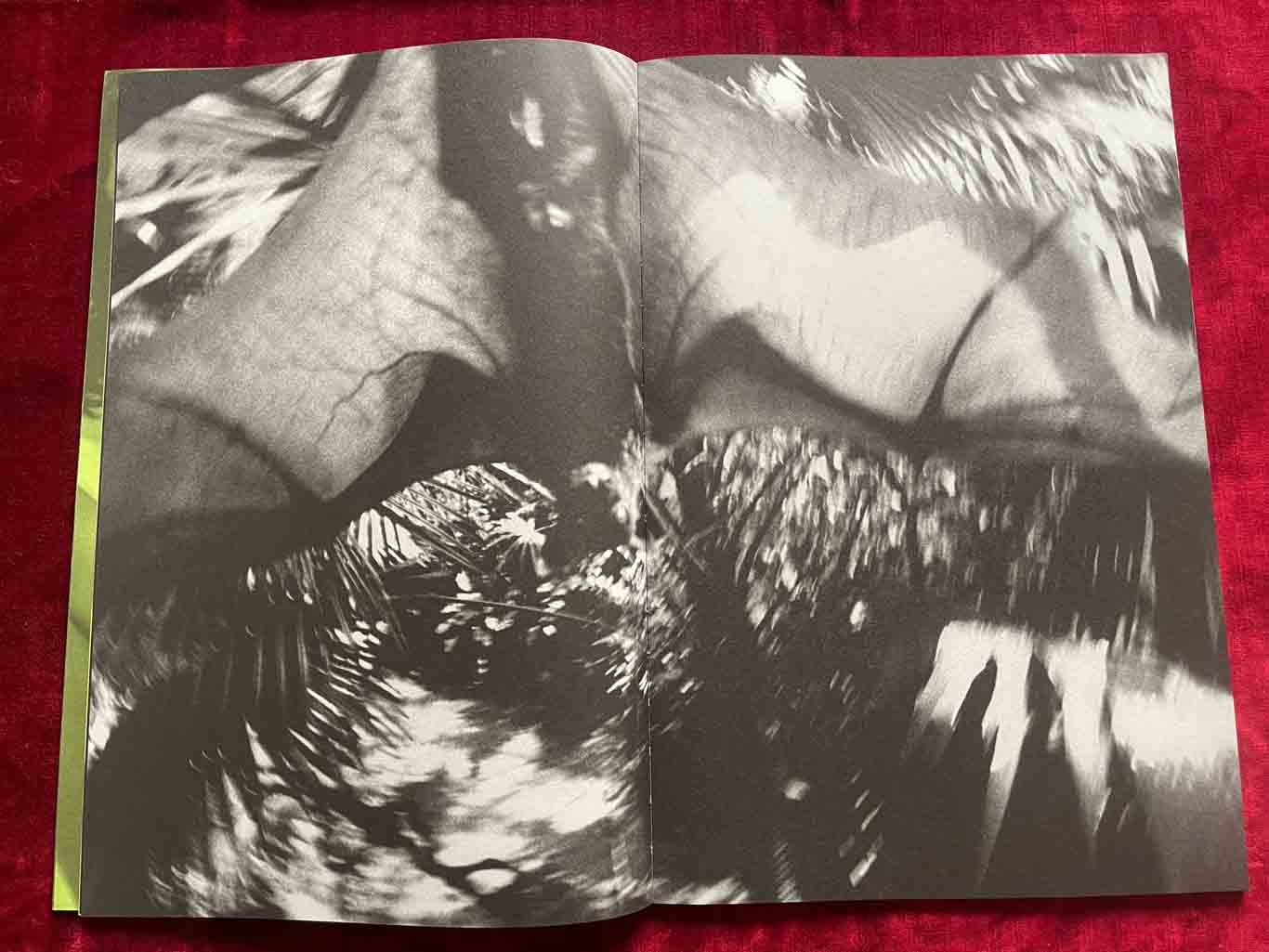 KOUMORI_11_BOOK_KURAMA