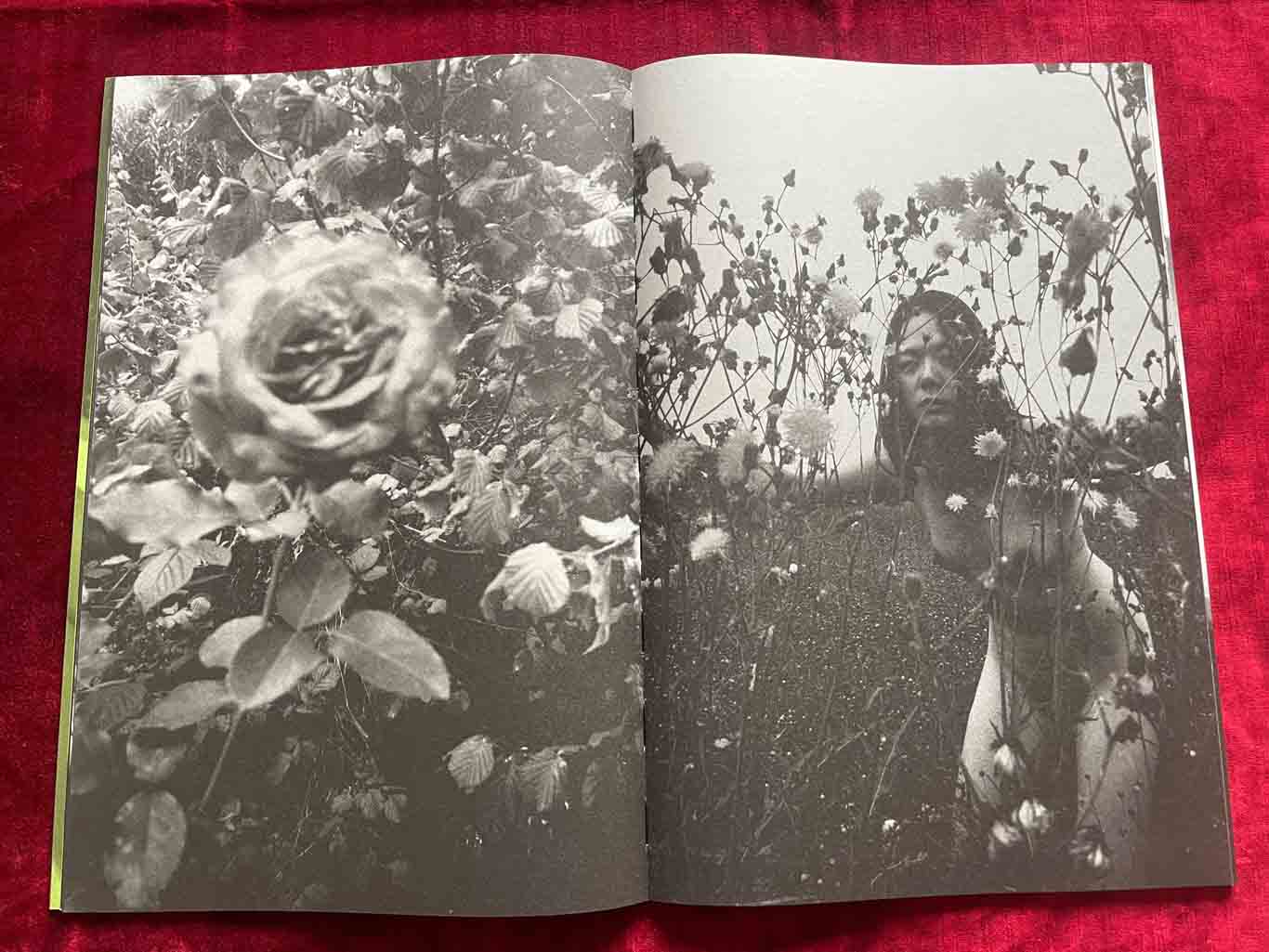 KOUMORI_13_BOOK_KURAMA