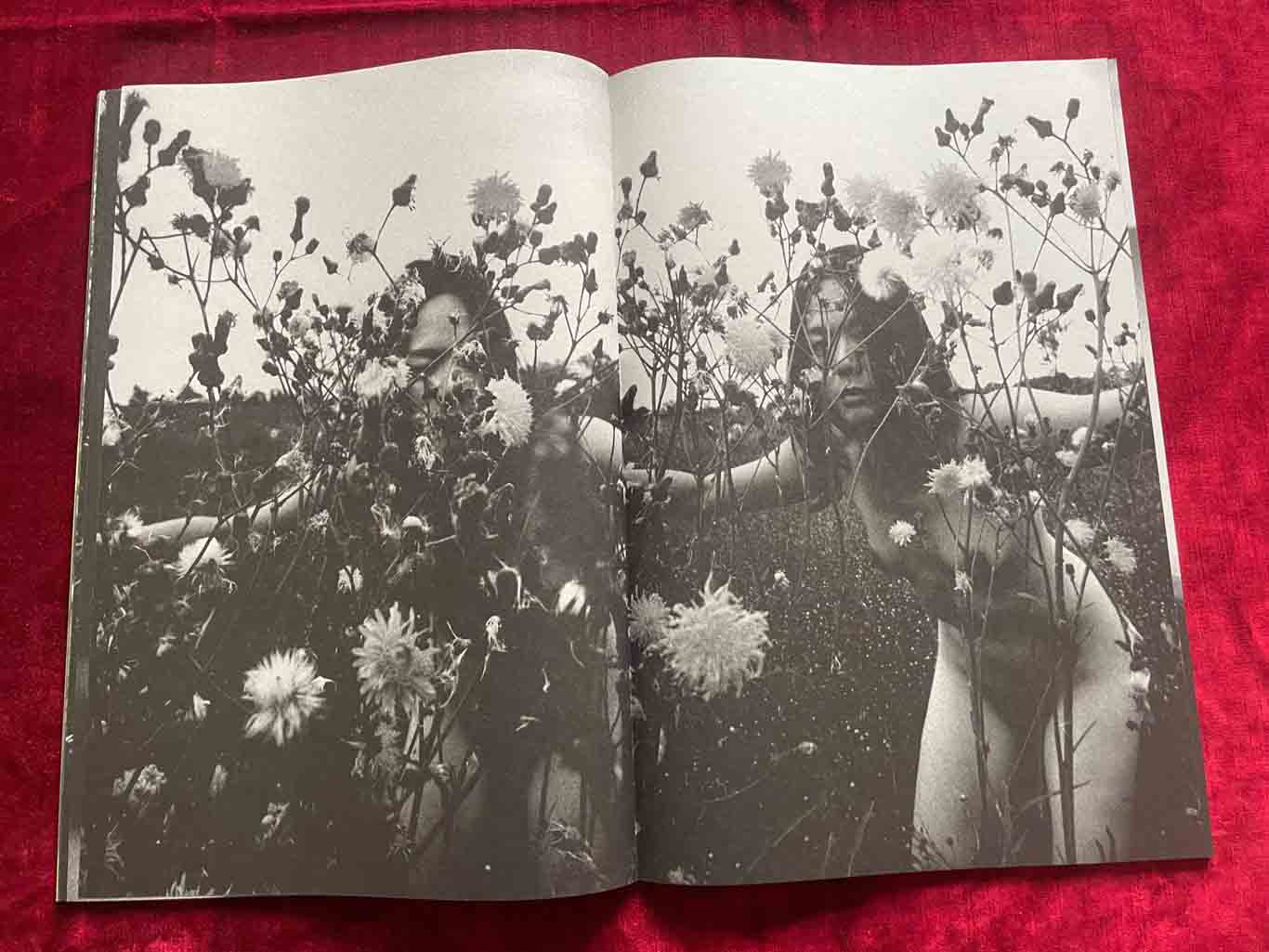 KOUMORI_15_BOOK_KURAMA