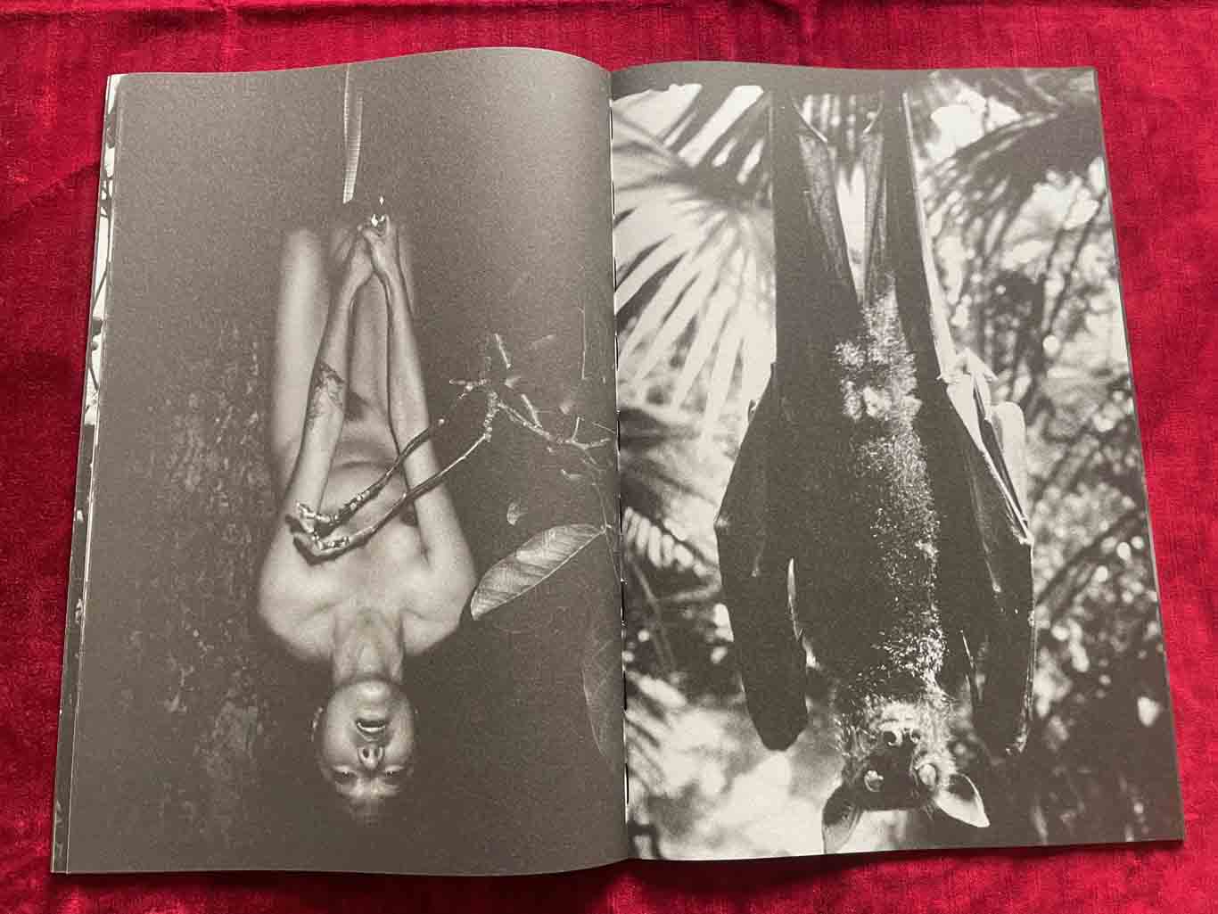 KOUMORI_19_BOOK_KURAMA