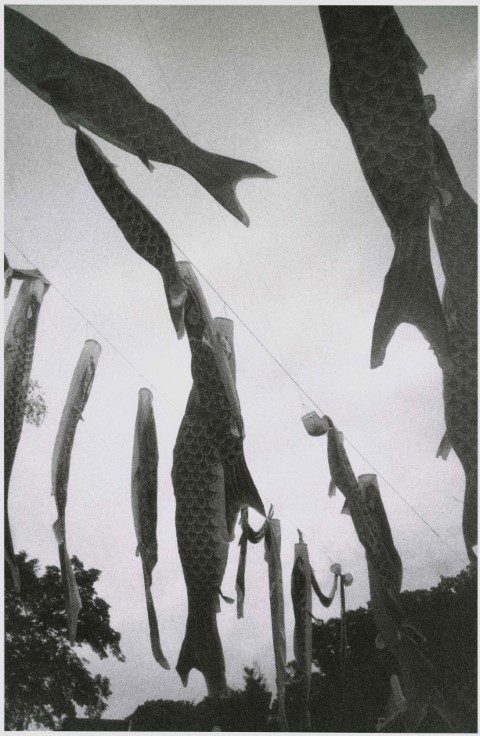 KURAMA_1953_8