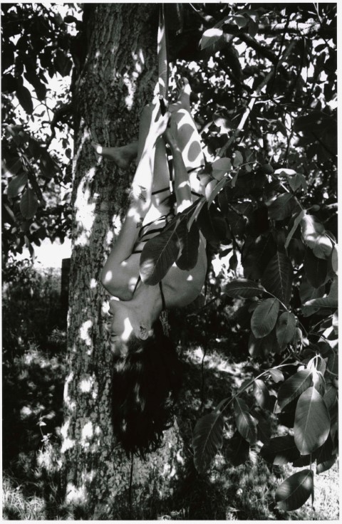 TSAI_KOUMORI_KURAMA_5931_23