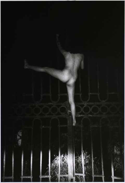 TSAI_KOUMORI_KURAMA_5946_11A