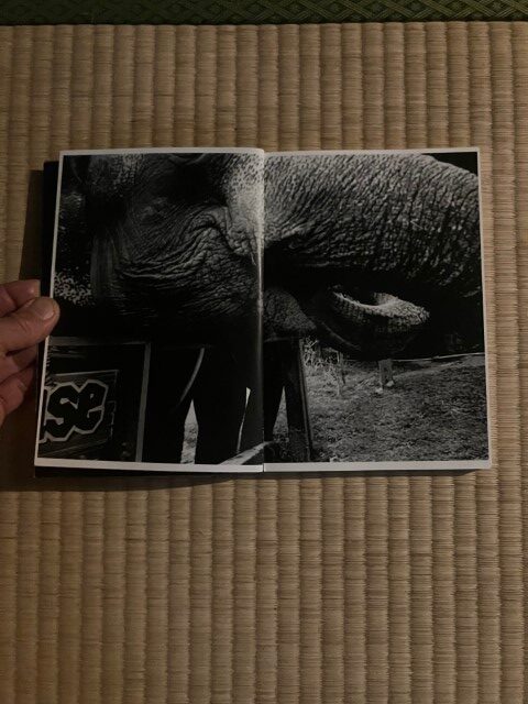 ZOSAN-ELEPHANT-BOOK_KURAMA-004