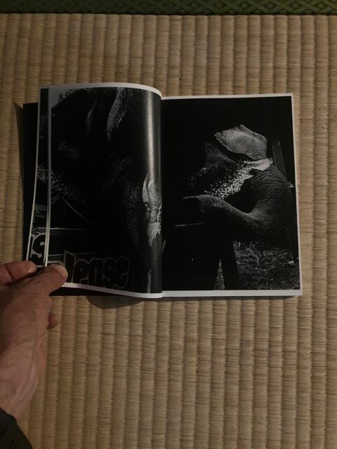 ZOSAN-ELEPHANT-BOOK_KURAMA-007