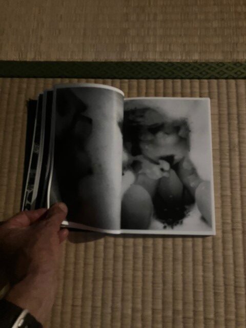 ZOSAN-ELEPHANT-BOOK_KURAMA-016