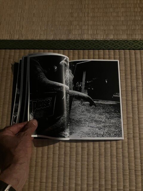 ZOSAN-ELEPHANT-BOOK_KURAMA-019