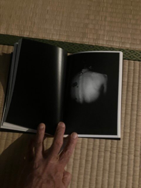 ZOSAN-ELEPHANT-BOOK_KURAMA-023
