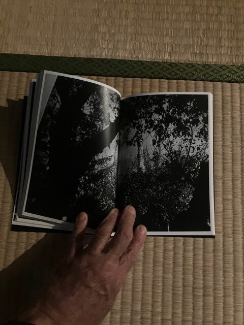 ZOSAN-ELEPHANT-BOOK_KURAMA-026