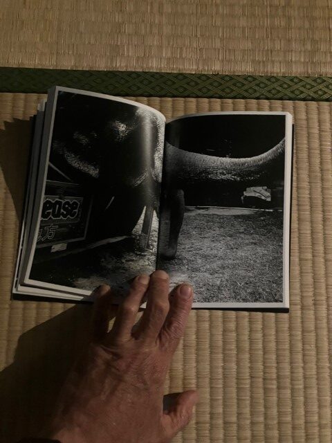 ZOSAN-ELEPHANT-BOOK_KURAMA-027