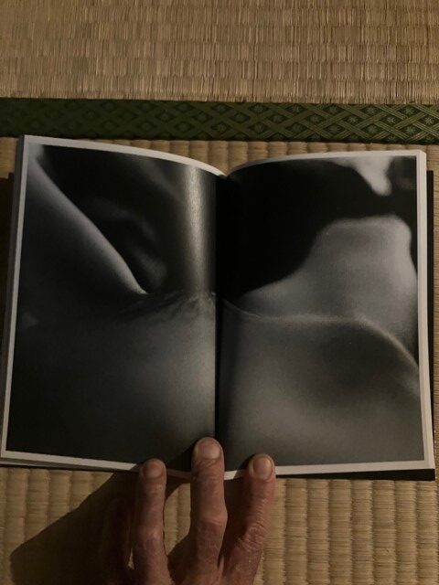 ZOSAN-ELEPHANT-BOOK_KURAMA-030