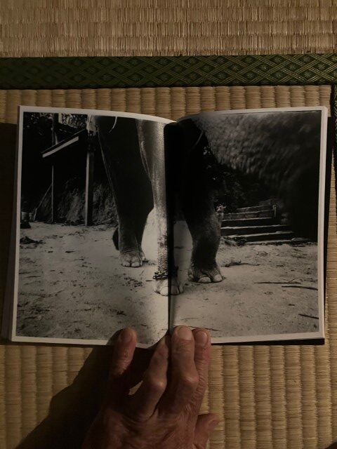 ZOSAN-ELEPHANT-BOOK_KURAMA-035