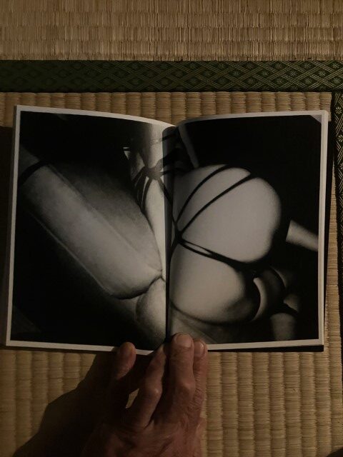 ZOSAN-ELEPHANT-BOOK_KURAMA-036