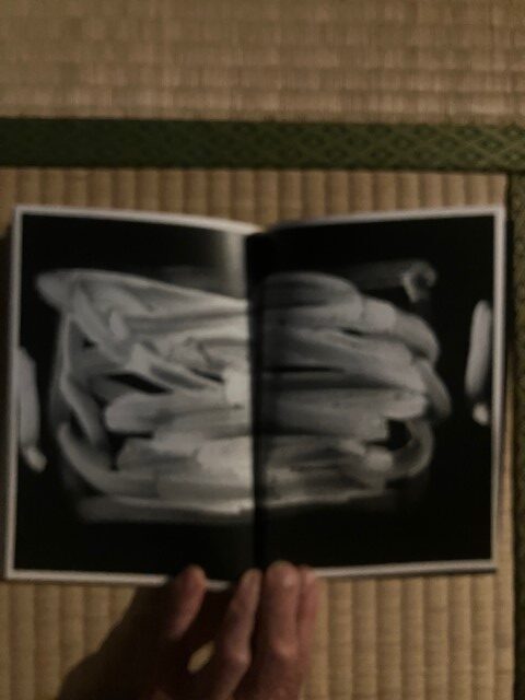 ZOSAN-ELEPHANT-BOOK_KURAMA-037