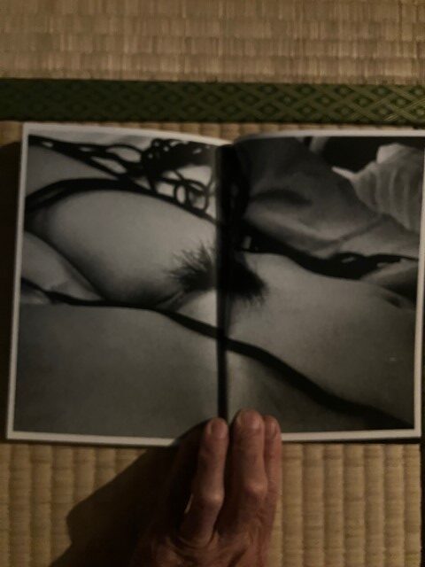 ZOSAN-ELEPHANT-BOOK_KURAMA-039