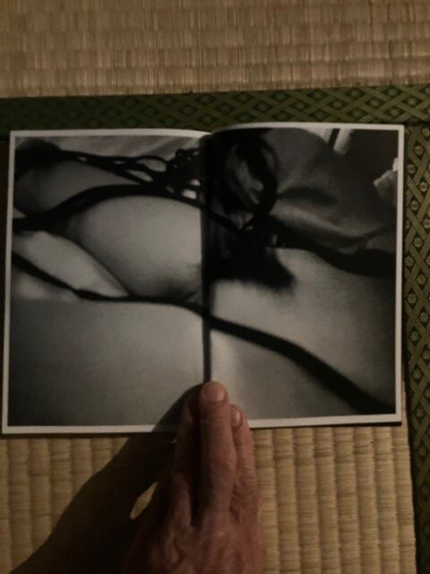 ZOSAN-ELEPHANT-BOOK_KURAMA-041