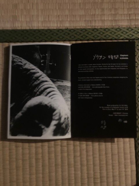 ZOSAN-ELEPHANT-BOOK_KURAMA-043
