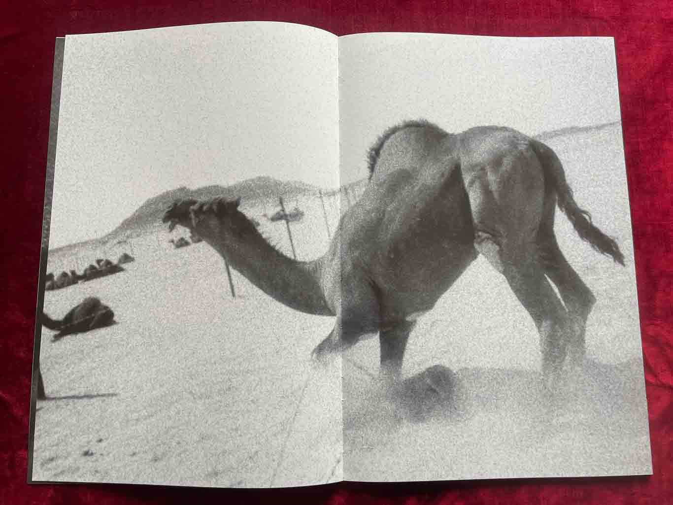 erotiCANA_05_BOOK_KURAMA