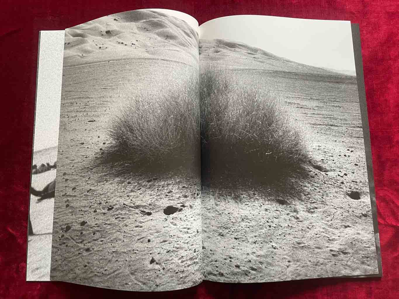 erotiCANA_06_BOOK_KURAMA