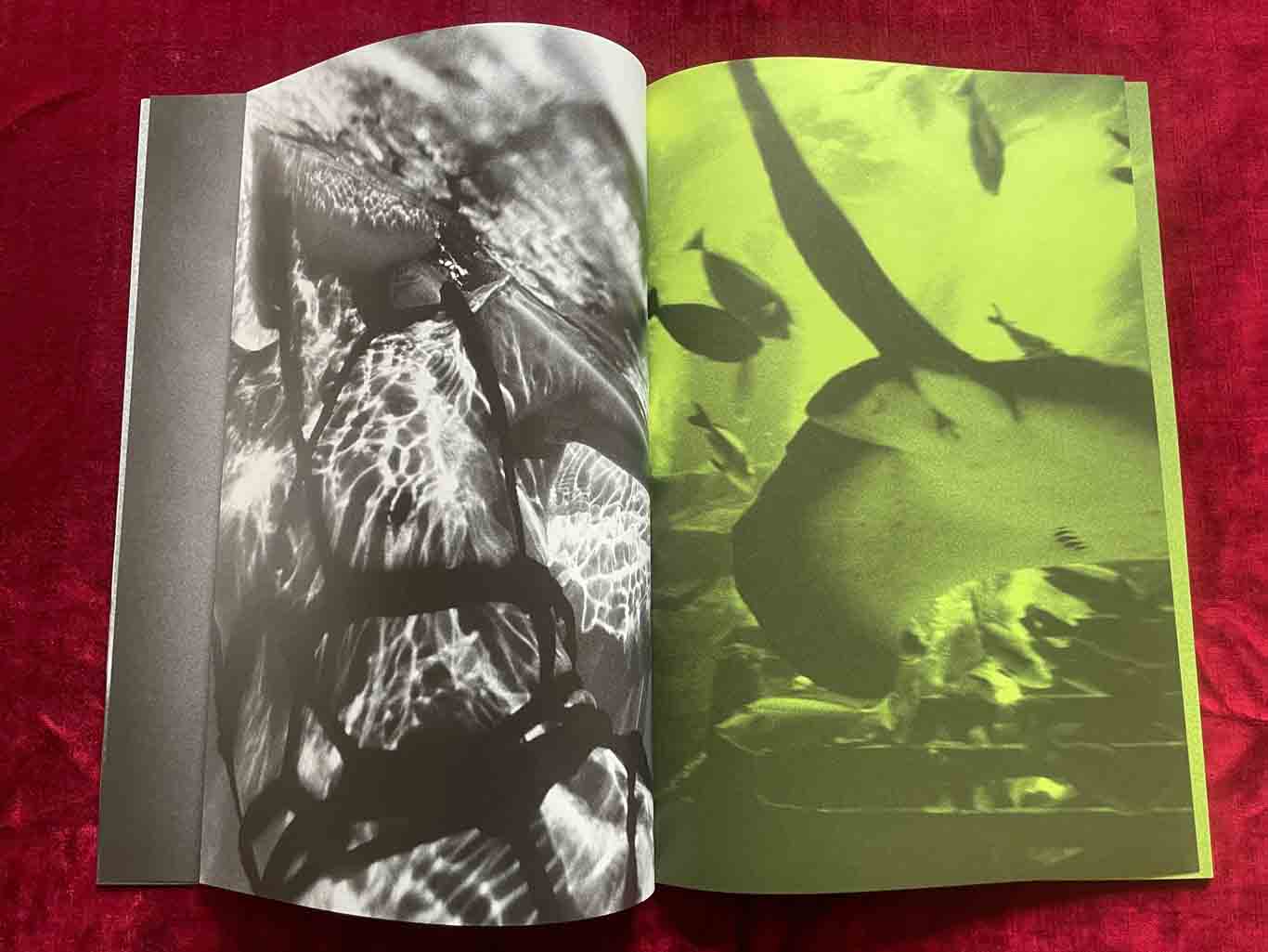 erotiCANA_09_BOOK_KURAMA