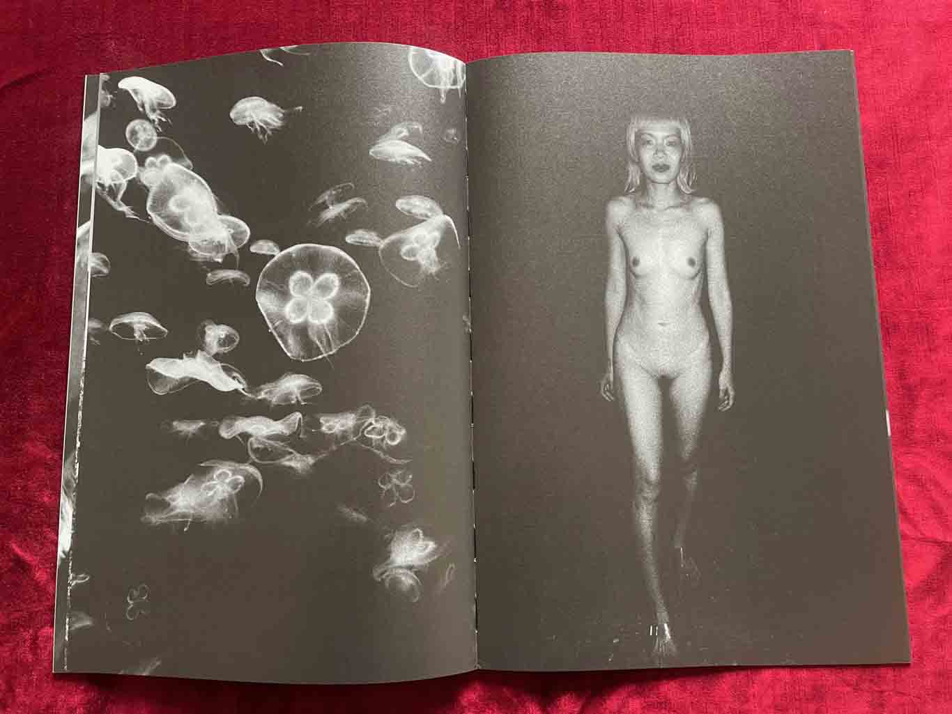 erotiCANA_16_BOOK_KURAMA